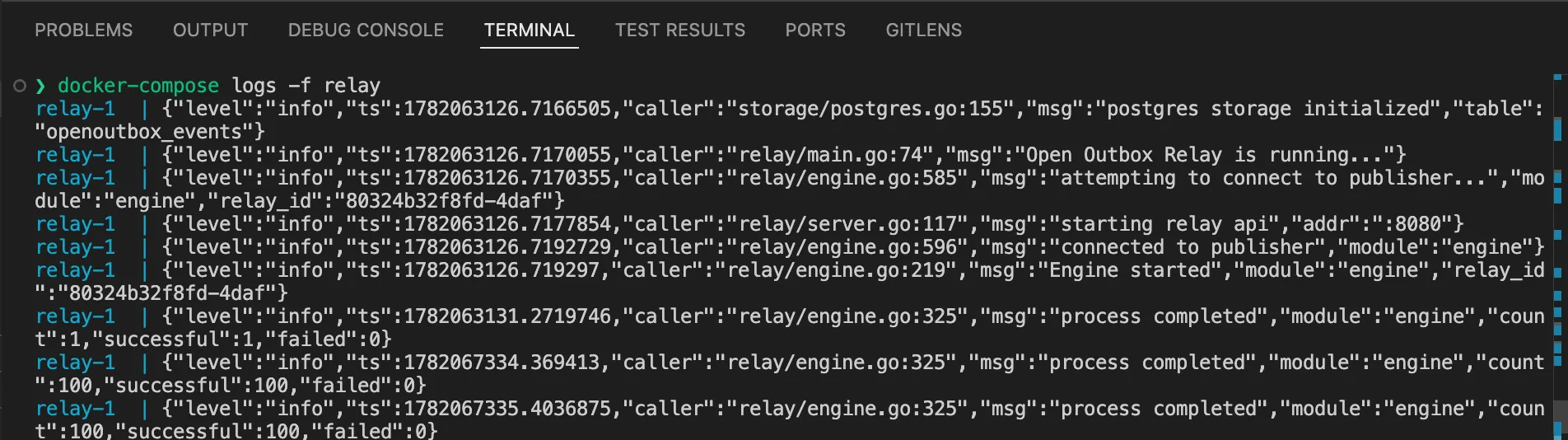 Relay Processing Log Output